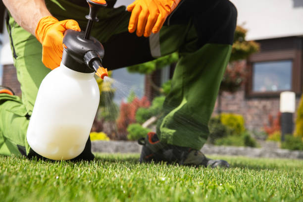 Best Affordable Pest Control Services  in Beverly Hills, MI