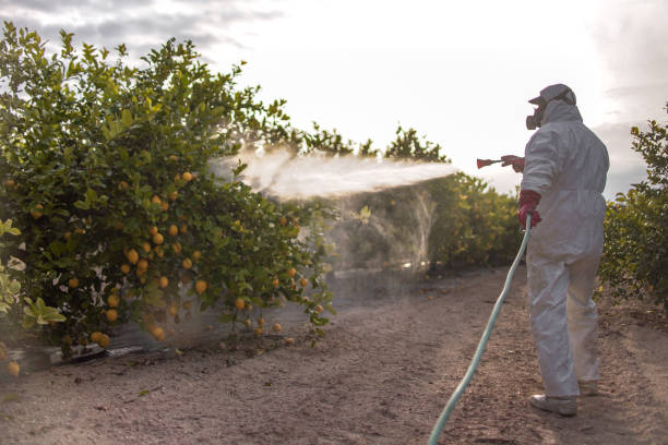 Professional Pest Control in Beverly Hills, MI