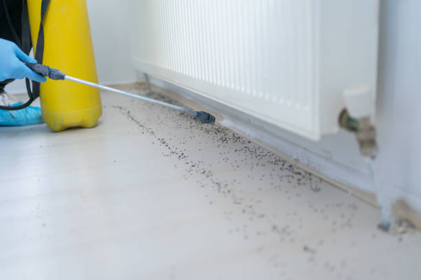 Best Pest Control Near Me in Beverly Hills, MI