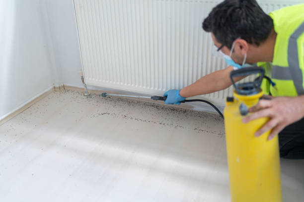 Best Best Pest Control Companies  in Beverly Hills, MI